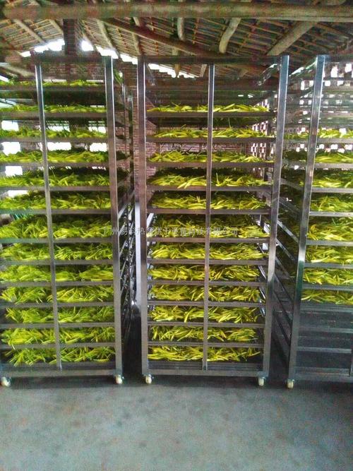 黃花菜烘干機、黃花菜烘干設(shè)備、黃花菜干燥機、黃花菜干燥設(shè)備、